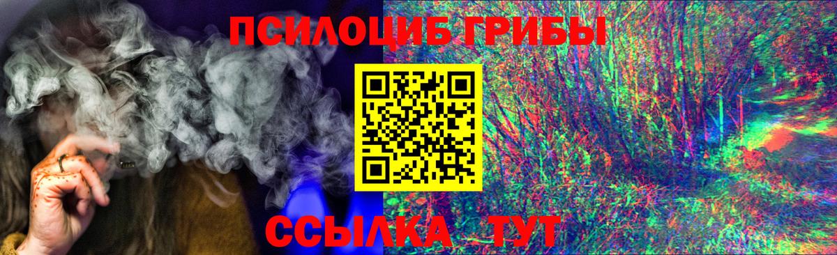 Псилоцибиновые грибы Psilocybe Альметьевск